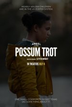 Sound of Hope: The Story of Possum Trot Movie posters