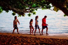 The Descendants Movie Photo 77411