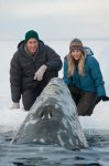 Big Miracle Movie Photo 78777