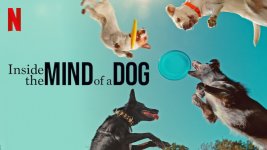 Inside the Mind of a Dog Movie Photo 802700