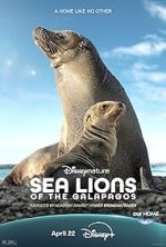 Sea Lions of the Gal&aacute;pagos Movie photos