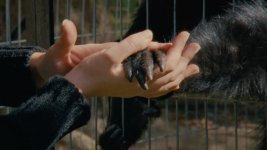 Collective Monologue Movie photos