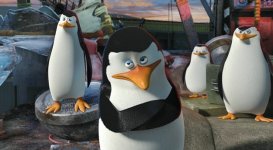 Madagascar 3: Europe's Most Wanted Movie photos