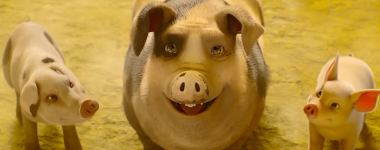 Animal Farm Movie photos
