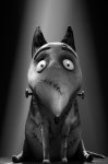 Frankenweenie Movie photos