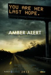 Amber Alert Poster