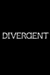 Divergent Poster