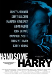 Handsome Harry Poster