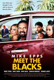 Meet the Blacks Poster