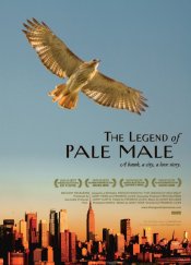 The Legend of Pale Male Movie Poster