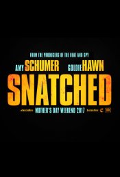 Snatched Poster