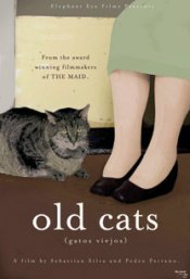 Old Cats Poster