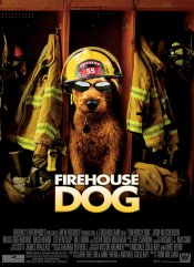 Firehouse Dog Poster