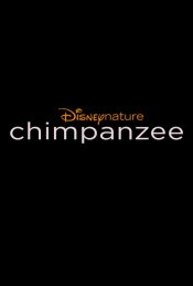 Chimpanzee Poster