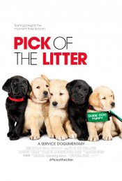 Pick of the Litter Movie Poster