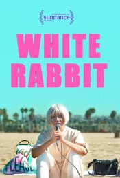 White Rabbit Poster