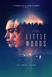 Little Woods Movie Poster