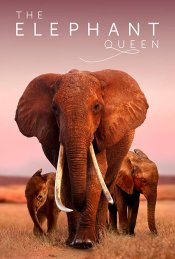 The Elephant Queen Movie Poster