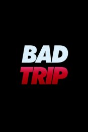 Bad Trip Poster