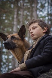 Shepherd: The Story of a Jewish Dog Movie Poster