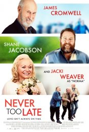 Never Too Late Movie Poster