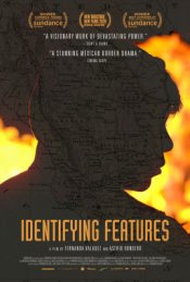 Identifying Features Movie Poster