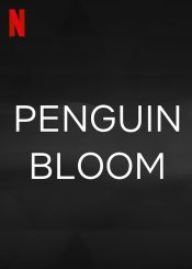 Penguin Bloom Poster