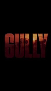 Gully Poster