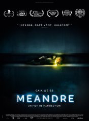 Meander Poster