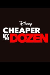 Cheaper by the Dozen Poster