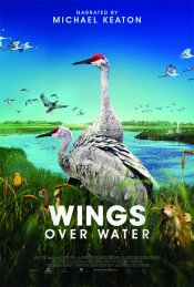 Wings Over Water Poster