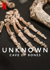 Unknown: Cave of Bones Poster