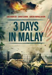 3 Days in Malay Poster