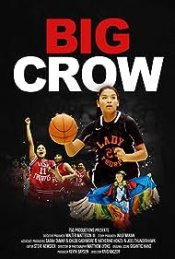 Big Crow Movie Poster