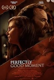 Perfectly Good Moment Poster