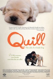 Quill: The Life of a Guide Dog Movie Poster