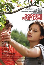 Goodbye First Love Poster