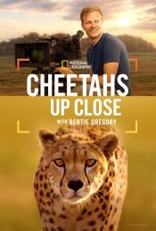 Cheetahs Up Close with Bertie Gregory Movie Poster