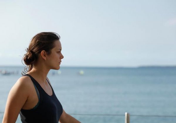 Rust & Bone Movie Photo 105437