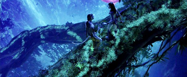 Avatar Movie Photo 12005