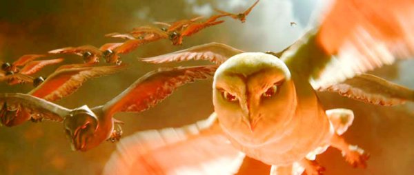 Legend of the Guardians: The Owls of Ga'Hoole Movie Photo 13318