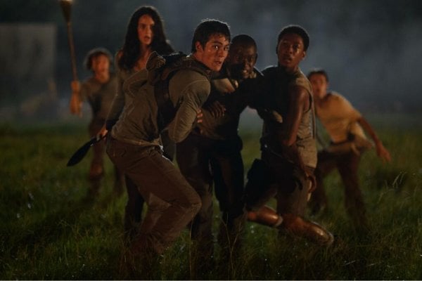 The Maze Runner Movie Photo 141519