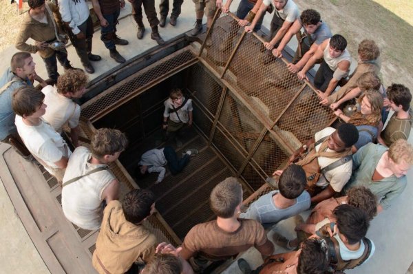 The Maze Runner Movie Photo 141523