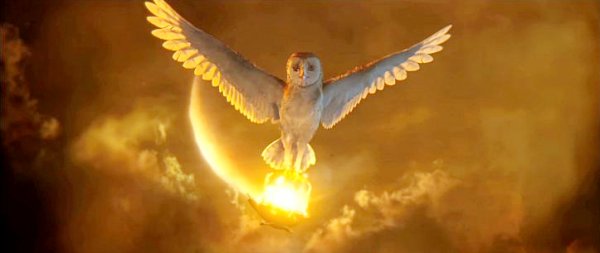 Legend of the Guardians: The Owls of Ga'Hoole Movie Photo 14722