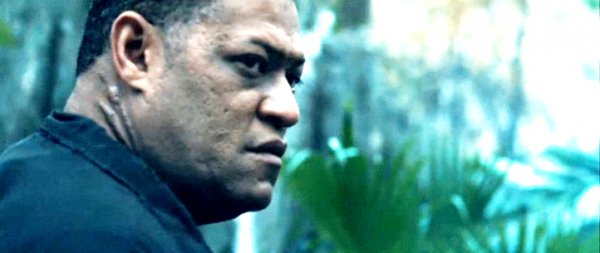 Laurence Fishburne Movie Photo 15082