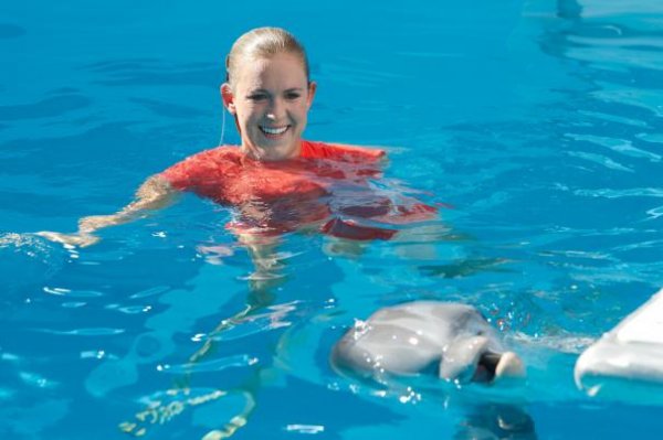 Dolphin Tale 2 Movie Photo 151013