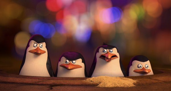 The Penguins of Madagascar Movie Photo 181853