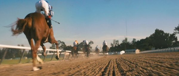 Secretariat Movie Photo 19501