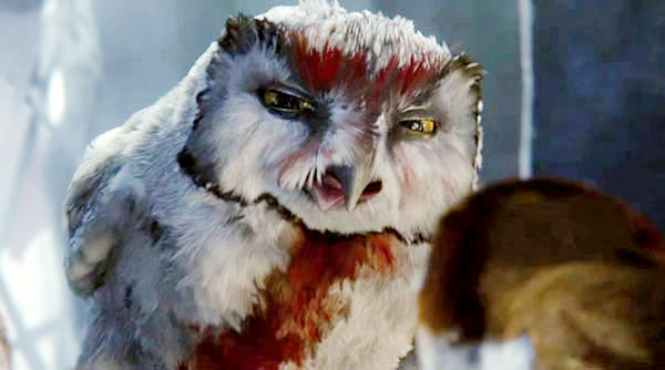 Legend of the Guardians: The Owls of Ga'Hoole Movie Photo 21279