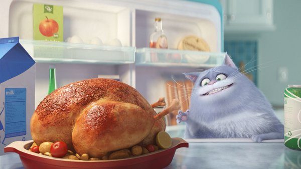 The Secret Life of Pets Movie Photo 233379